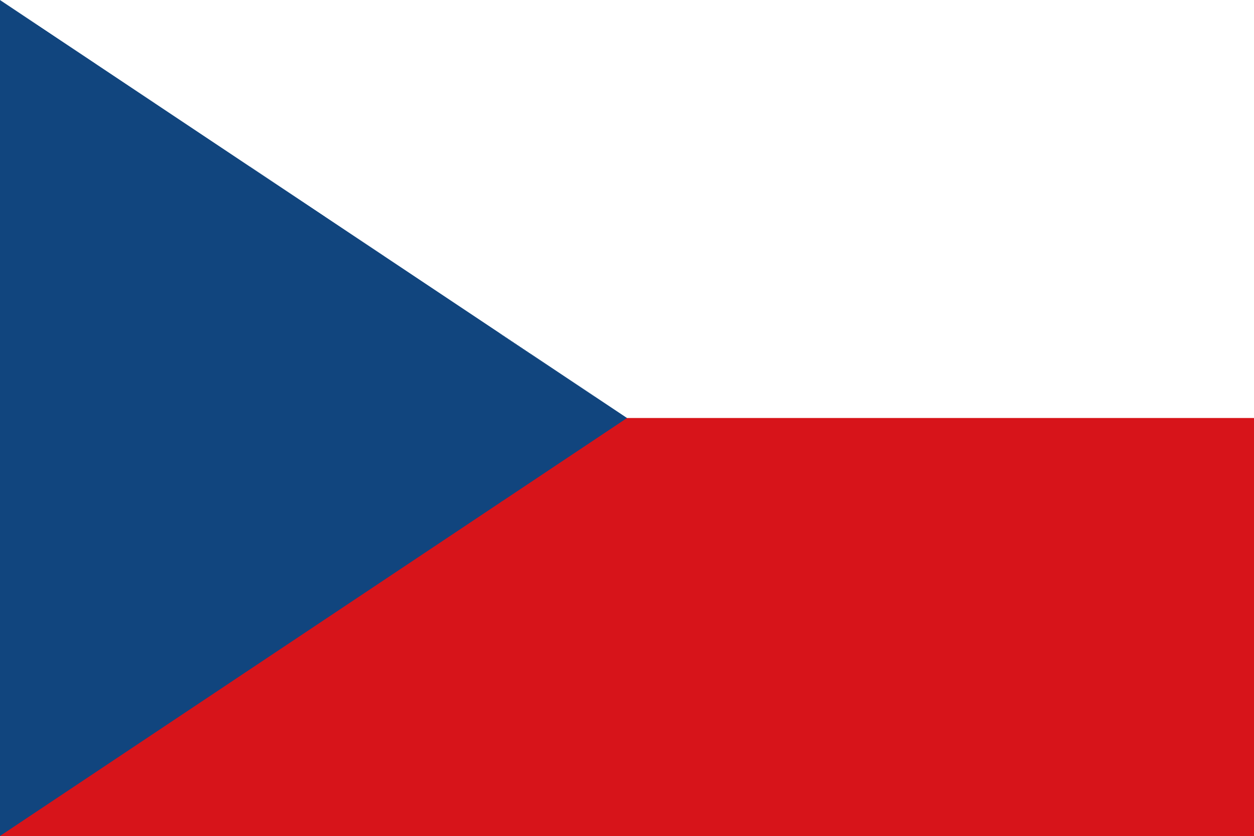 チェコ共和国 flag